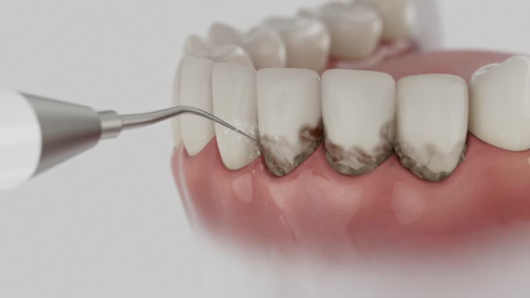 Reliable Dental contractor in Franklinton, LA by Dentist Open Now